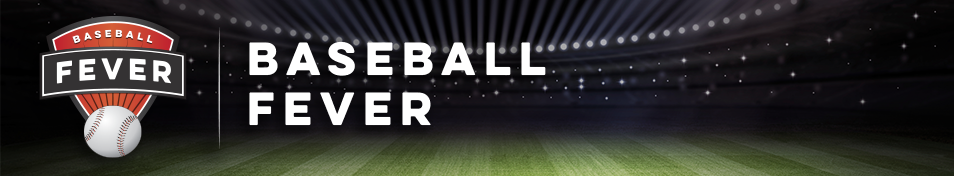 Baseball Fever Fundraiser Banner #Fundraising GreenBeeFundraising.com